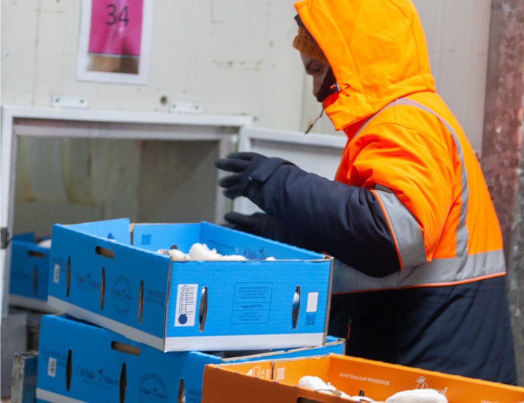 About Us Regal Mushrooms