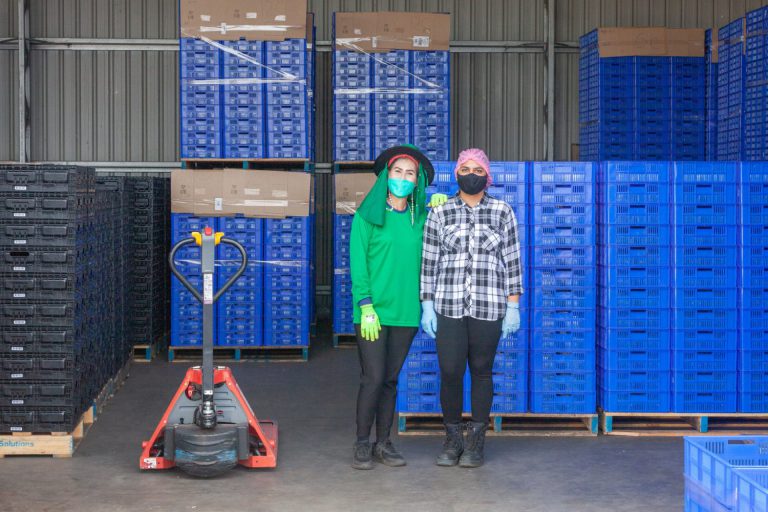 Careers Regal Mushrooms