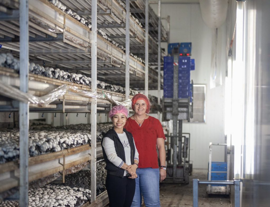 About Us Regal Mushrooms